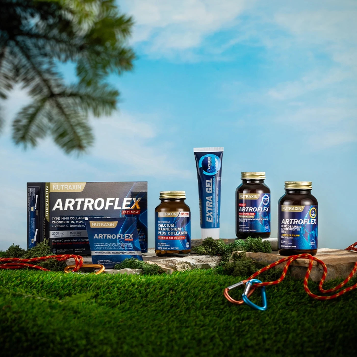 Buy Nutraxin Artroflex Hya C-II Tablets Bone & Joint Health - at Best Price Online in Pakistan