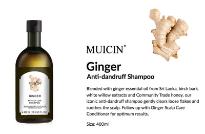 Buy  MUICIN - Ginger Anti Hair Loss Shampoo - 400ml - at Best Price Online in Pakistan