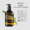 Buy  MUICIN - Ginger Oil Anti Hair Fall Shampoo - 500ml - at Best Price Online in Pakistan